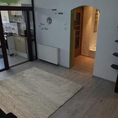 Ana Lux Apartments Braşov Eksteriør billede