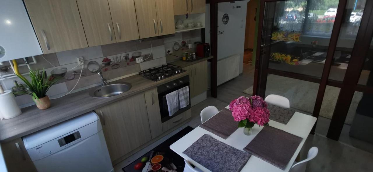 Ana Lux Apartments Braşov Eksteriør billede