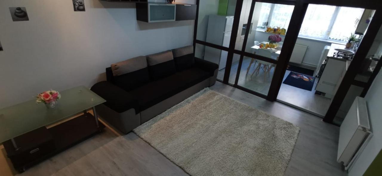 Ana Lux Apartments Braşov Eksteriør billede